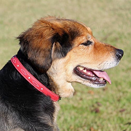 Srednji rhinestone meka crvena Napa kože podstavljena Swarovski dragulj za pse; Odgovara veličinu vrata od 14 do 18
