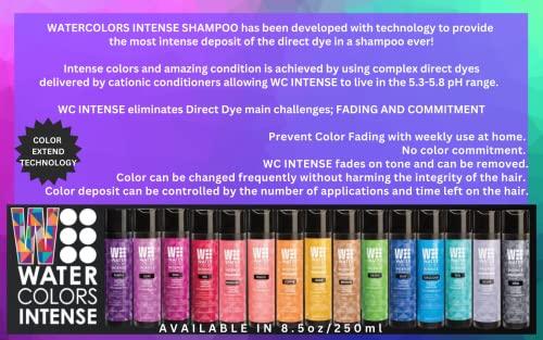 Intenzivni šampon za bojanje kose u akvarelu bez sulfata održava i poboljšava boju kose