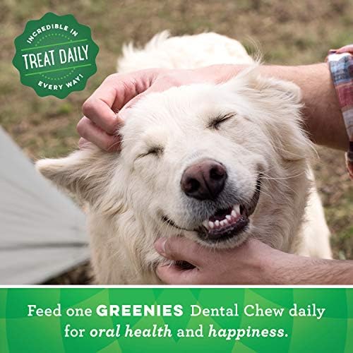 Greeneys Originalni veliki prirodni pseći stomatološka njega žvaka oralno zdravlje pseće poslastice, 36 oz. Paket