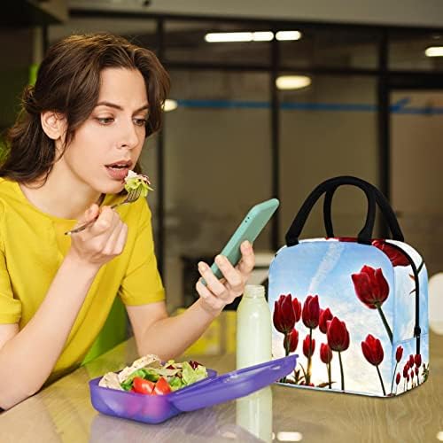 Ženska torba za ručak za muškarce, kutija za ručak za muškarce, ženska kutija za ručak, cvjetni uzorak crvene ruže
