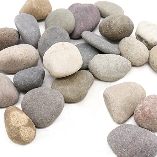 Višebojne stijene 1 ” - 2” inča, 10 lb. od prirodnih nepoliranih kamena šljunka za biljke, vrtove, slikanje stijena, uređenje