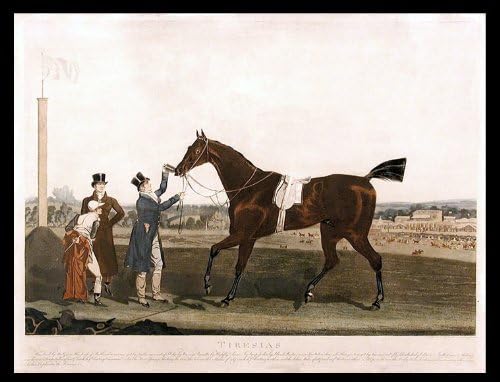 Tiresija je njegovo gospodstvo uzgajalo vojvoda od Portlanda 1816.godine, a Vračar ga je izvadio iz saonica. U Epsomu je pobijedio