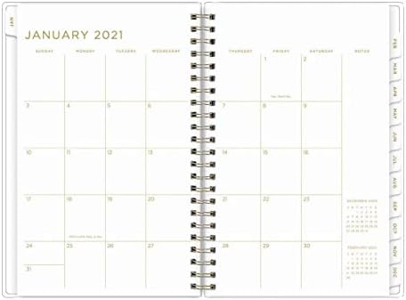 Blue Sky Ashley G za 2021. tjedni i mjesečni planer, fleksibilni poklopac, vezanje dvostruke žice, 5 'x 8', Painterly Stripe